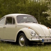��������� Volkswagen Kaefer: �������� ��������������, ������ ��������, ����
