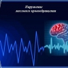 ˳�� "��������": ��������� �� ������������, ���� �� ������ ��� ��������