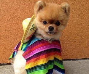 ���������� ���������� � ��: ������������� �������