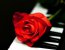 ������� ��� "����� ���, ������ ��� ������ ���": ������ ���������,&hellip;