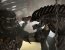 Alien versus Predator 2 - ��� ��� ������������� ������