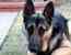 ������� ���� ������: �������� ������������ � ����������
