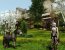 ����� ArcheAge. ���������� ���